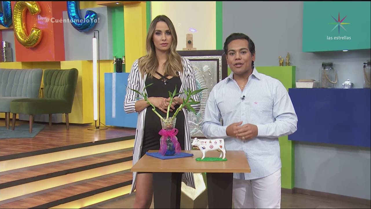 FENG SHUI: Evita robos, chismes y problemas legales