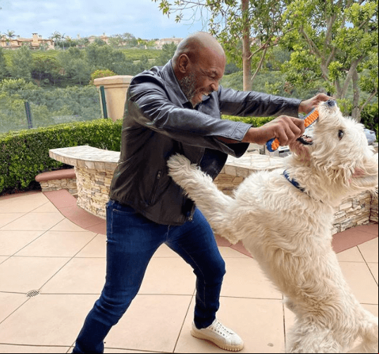 Mike Tyson tiene un perro llamado Mars.
