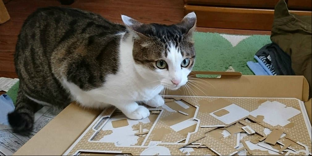Gato Nintendo Labo