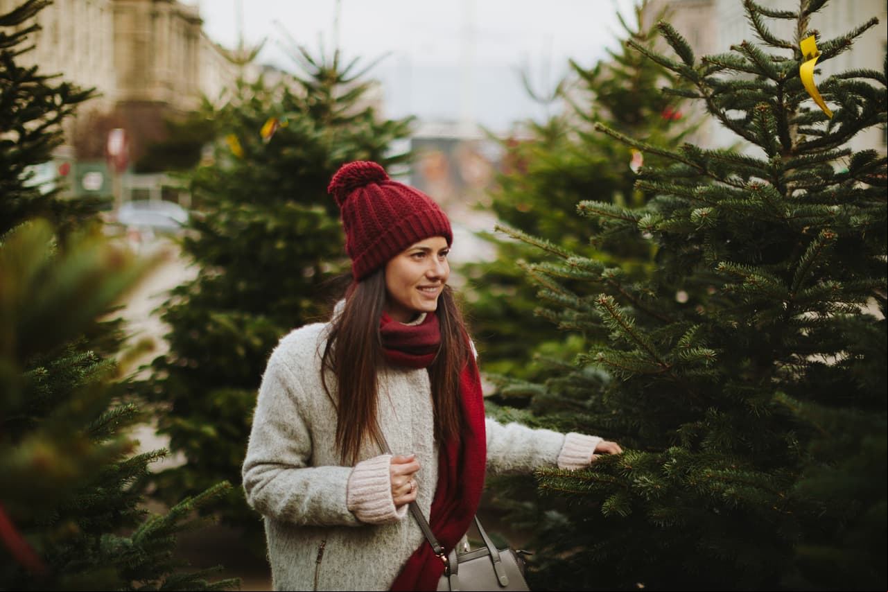 ¿Cuál es el momento ideal para comprar el árbol de Navidad?
