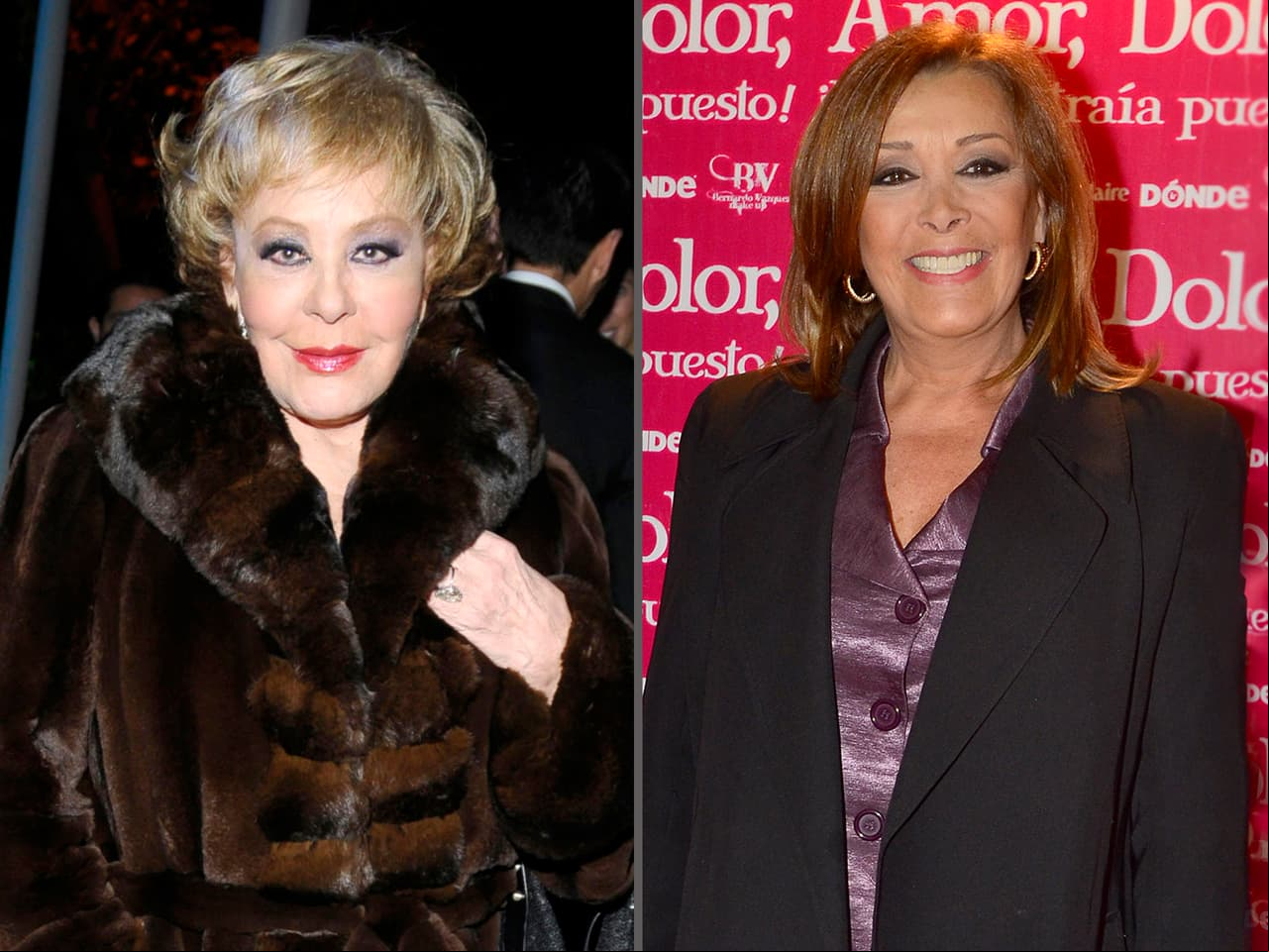 En aquella época, madre (Silvia Pinal) e hija (Sylvia Pasquel) se distanciaron por el amor de Fernando Frade, quien vivió un tórrido romance con Pinal y tiempo después tuvo una hija con Pasquel, Viridiana Margarita Frade, quien murió a los dos años de edad.
