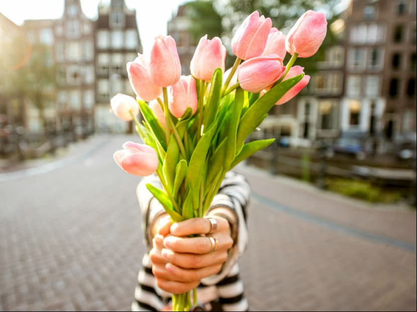 Tauro. Los tulipanes serán perfectos para darle las gracias a una mujer que le encanta rodearse de belleza.