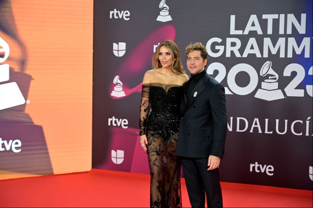 David Bisbal y Rosanna Zanetti