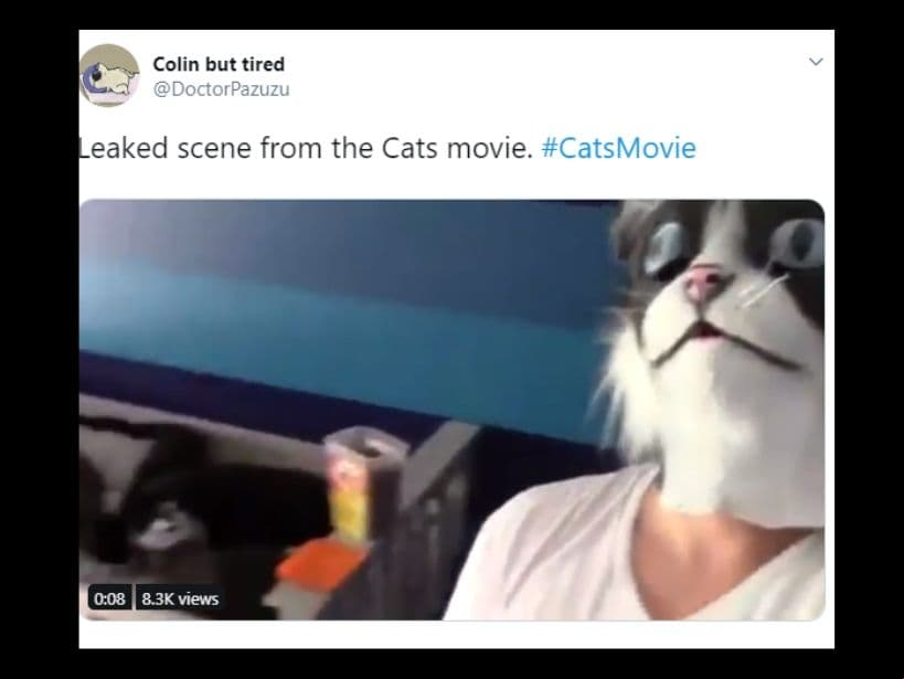 Los gatos están hechos por CGI (animación por computadora) y tienen un rostro muy extraño.