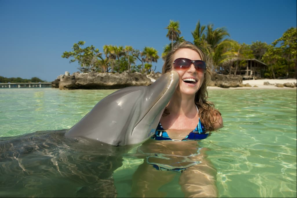 Selfie con animales: Instagram te invita a que no lo hagas