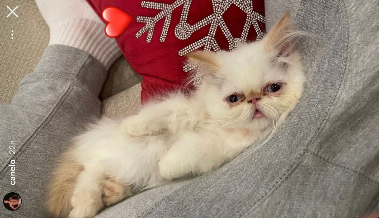 El tierno nuevo integrante de la familia Álvarez.