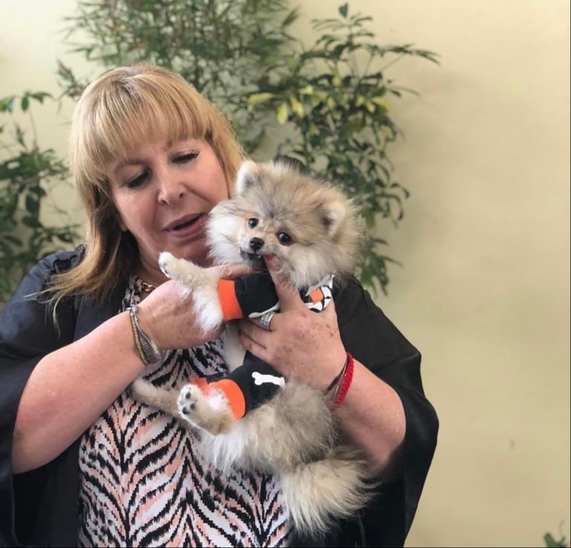 Y es que, Tomasito era muy apegado a Magda Rodríguez. Incluso, en la cuenta oficial del perrito en Instagram se describe como "Perro pomerania feliz. Signo géminis, hijo de @andy_escalaona, nieto de @magdaproducer, fan de @programahoy".