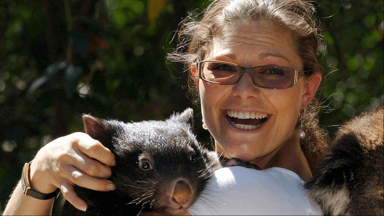 wombat