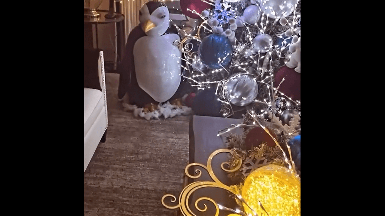 “Quedó bellísimo”, señaló la tapatía, quien al lado colocó un enorme pingüino que detrás tiene una pequeña rama y simula estar sobre hielo. No son los únicos adornos que tiene su hogar, en la mesa de centro de la sala hay un arreglo de esferas de colores y ramas navideñas, iluminadas por una serie de luces.