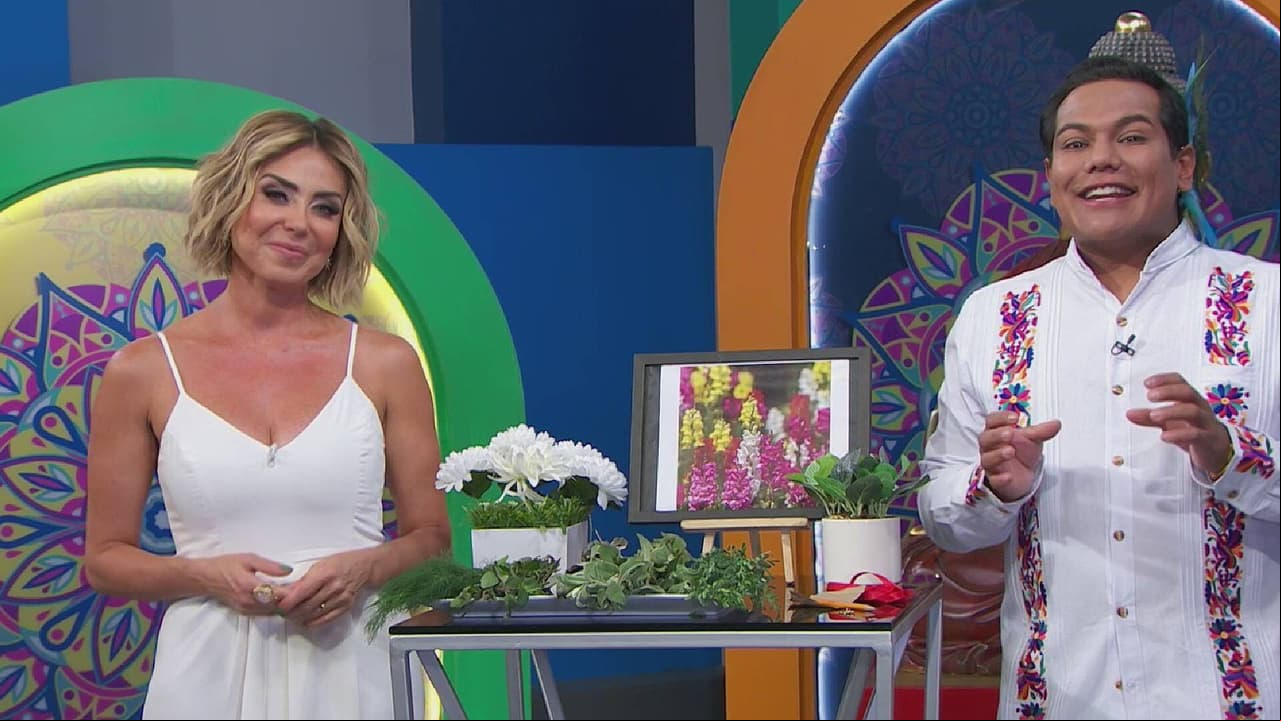 Recarga tu energía en el equinoccio de primavera con un ritual de feng shui