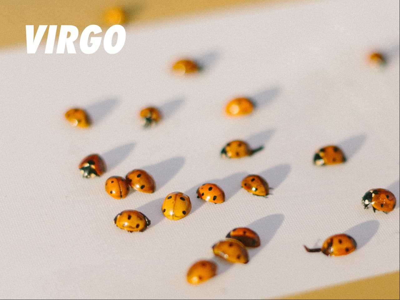 VIRGO: El hipocondriaco del Zodiaco, por ende, le abruma la idea de estar enfermo. No gozar de una buena salud es de una de sus más grandes preocupaciones. Muchas veces es odiado por sus manías y por sus hábitos extremos relacionados con la limpieza… Sí, la poca higiene y la suciedad también le genera ansiedad.
