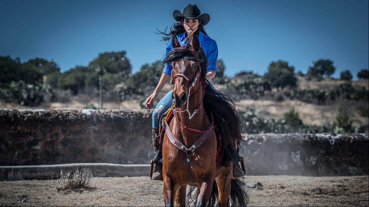 Tras el final de 'La Desalmada', revive todos los pleitos y cachetadas de la telenovela