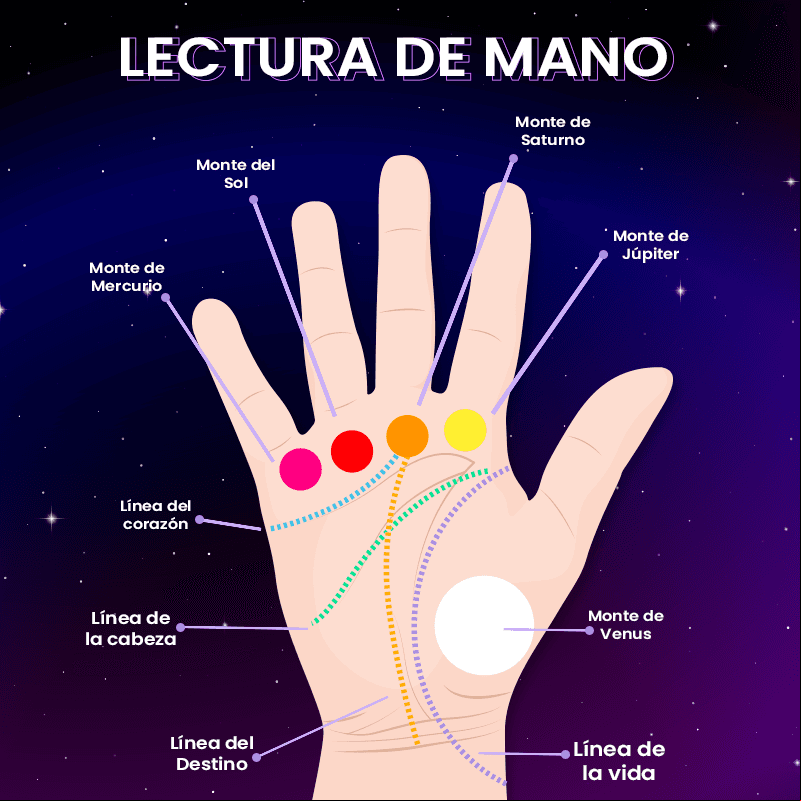 Líneas y montes de la mano