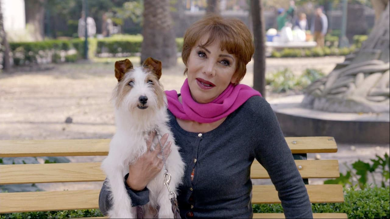Resumen Capítulo 17, Temporada 9: Muerto el perro, se acabó la rabia
