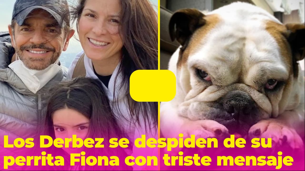 La familia Derbez se despide de su perrita Fiona con un "inmenso dolor": le dedicaron hermosos mensajes