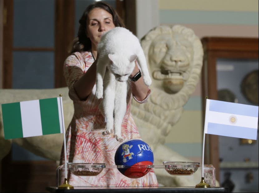 Gato Aquiles hace su predicción para el partido Nigeria vs Argentina