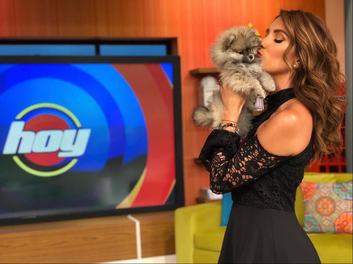 Para sorpresa de Escalona y Galilea Montijo, quien también formó parte de esta cápsula, el can de raza pomerania comenzó a llorar, causando que "Gali" derramara algunas lágrimas al ver su dolor.