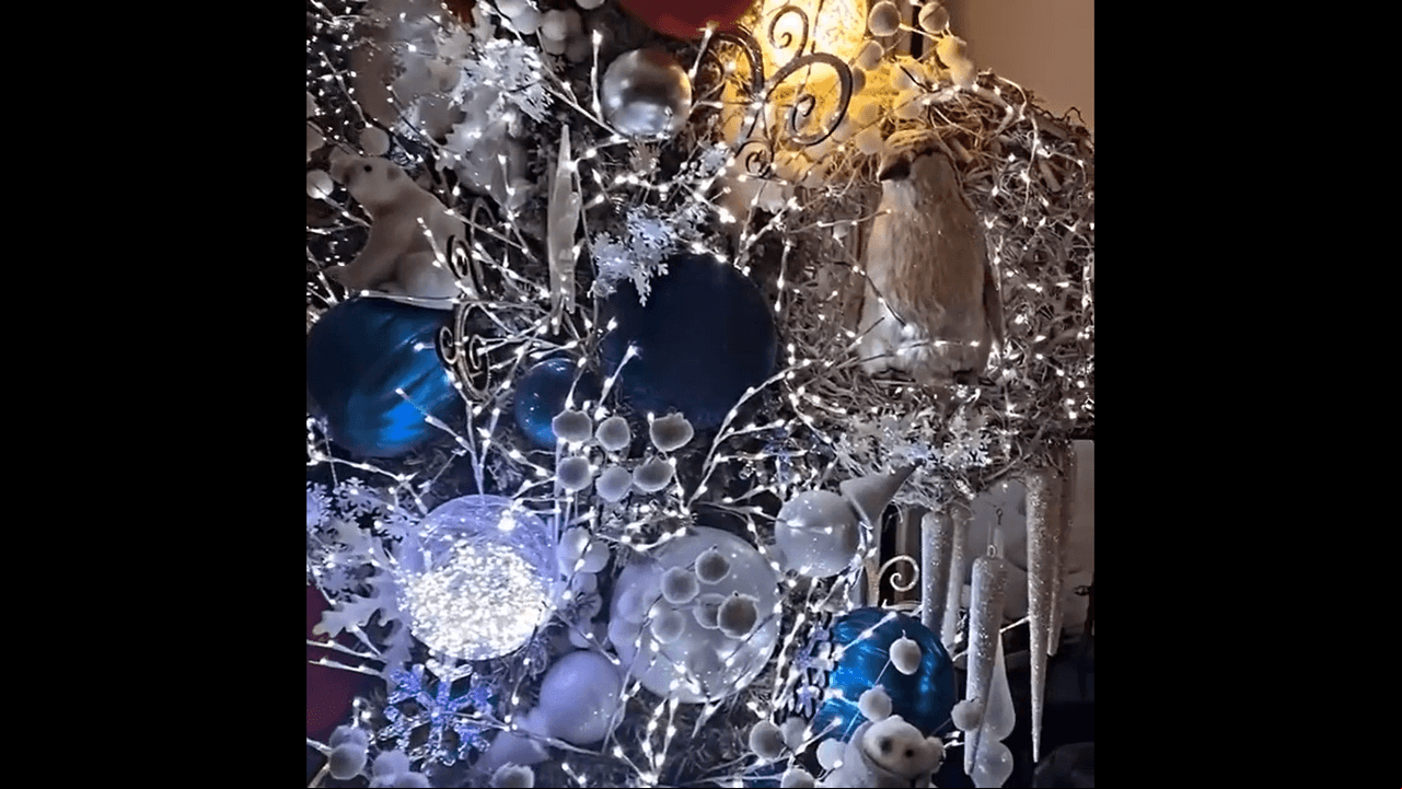 La presentadora mostró que su árbol de Navidad es muy peculiar, ya que cuenta con esferas más grandes de lo normal en forma de oso polar, búhos, moños y tiene los nombres de su hijo, hijastros, esposo y el de ella.