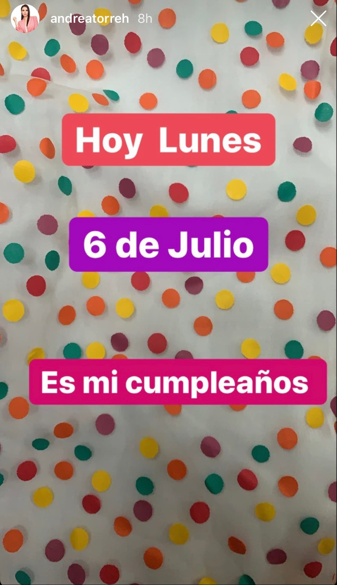 Y es que, aunque la actriz cumple 41 años este lunes 6 de julio, utilizó el fin de semana para celebrarlo con una íntima, pero emotiva fiesta al lado de su esposo y sus tres hijos. A continuación, te mostramos las imágenes.