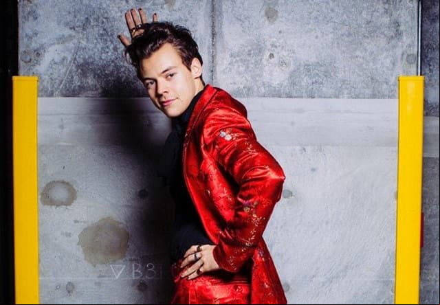 Harry Styles, a la conquista de las pantallas hollywoodenses