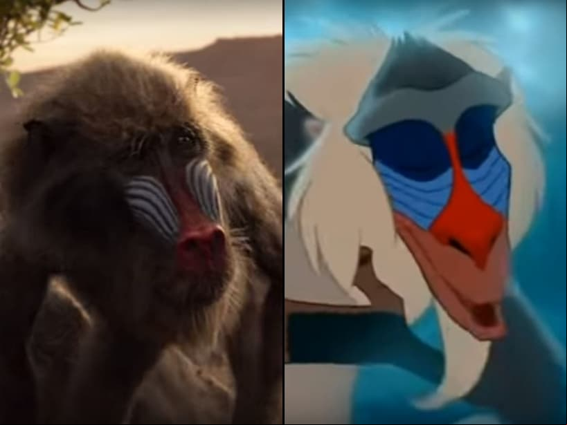 El sabio babuino, "Rafiki", tuvo la voz de Robert Guillaume. Ahora, su voz será hecha por John Kani, quien interpretó al "Rey T'Chaka" en la película, Black Panther (2018).