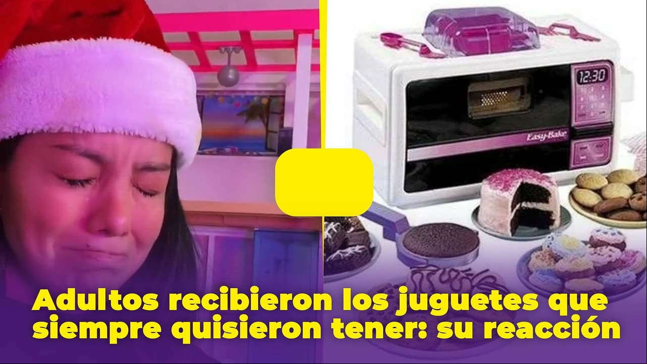 Adultos por fin reciben los juguetes que siempre desearon: micro-hornito, carro de control remoto y más