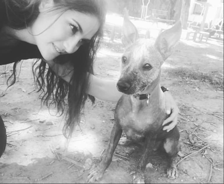 Es defensora de los derechos de los animales (FOTO: Twitter Sachi Tamashiro)