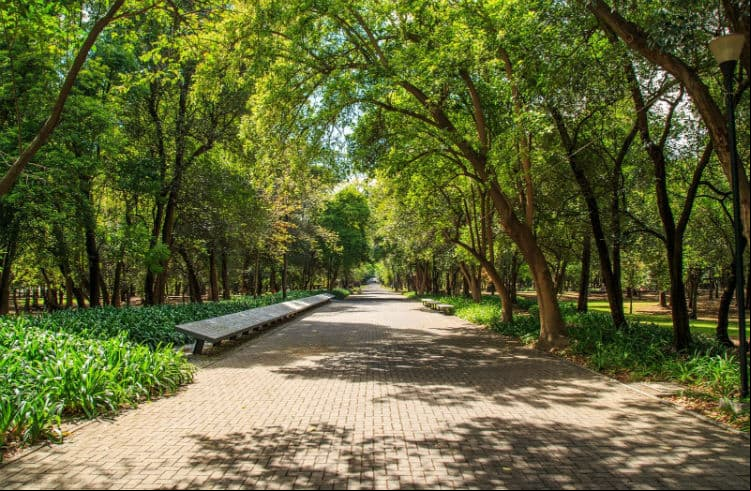 Top 10: Los lugares poco conocidos del Bosque de Chapultepec