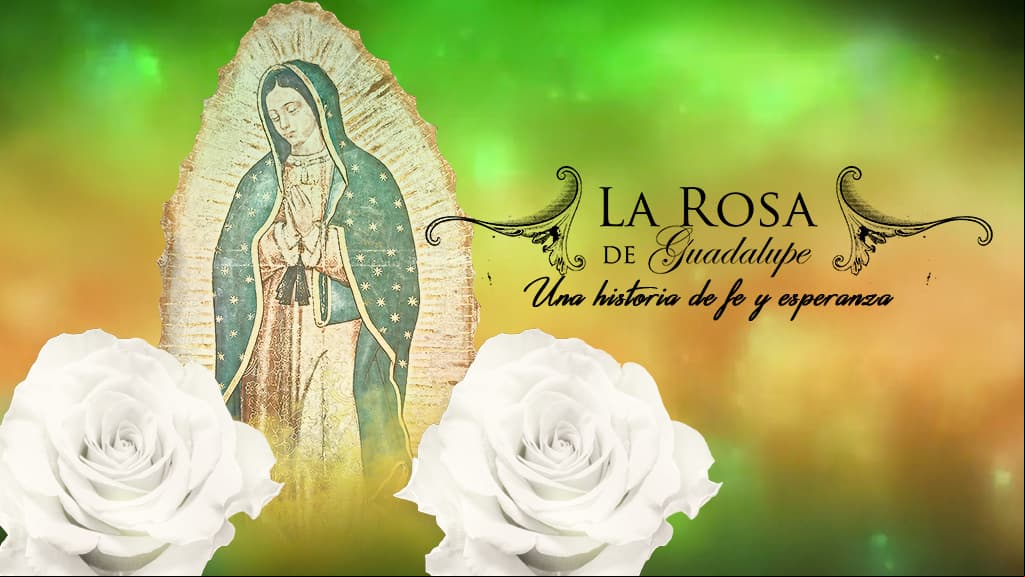 Actriz de 'La Rosa de Guadalupe' impacta con su asistencia al Festival de Cannes
