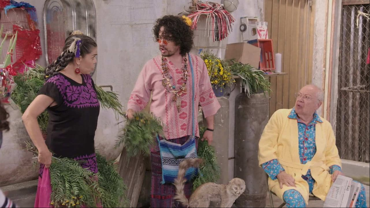 Así le fue a Aldolfo como yerbero