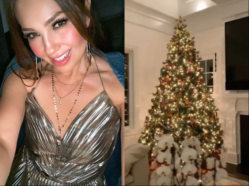 Una de las primeras famosas en presumir la decoración navideña de su hogar y, por supuesto, su arbolito, fue Thalía. “¡Wow, ya es Navidad en mi casa!”, expresó en un video publicado en Instagram. “¡Último día de octubre y ya puse mi árbol! ¡Siempre acelerada pero feliz feliz!”, agregó la cantante.