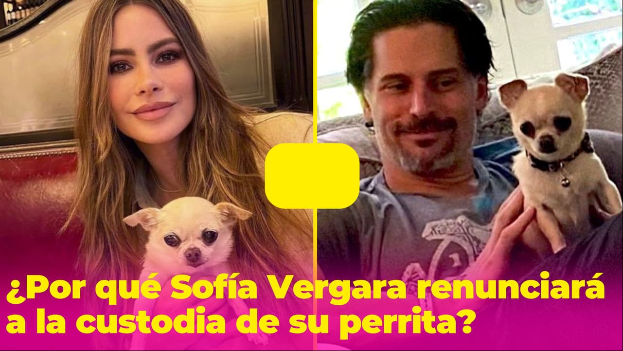 ¿Por qué Sofía Vergara cedió la custodia de su perrita a Joe Manganiello, si la quiere tanto?