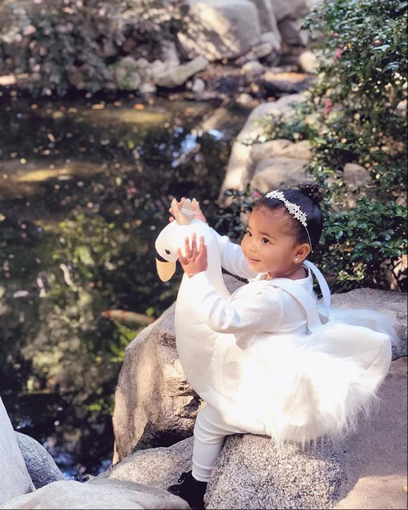 True Thompson, la primogénita de Khloé Kardashian, usó un traje de un cisne, cuya publicación alcanzó más de 2 millones de likes en menos de 24 horas.