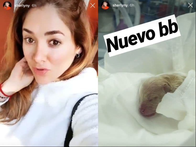 Sherlyn le da la bienvenida a un nuevo miembro de su familia.