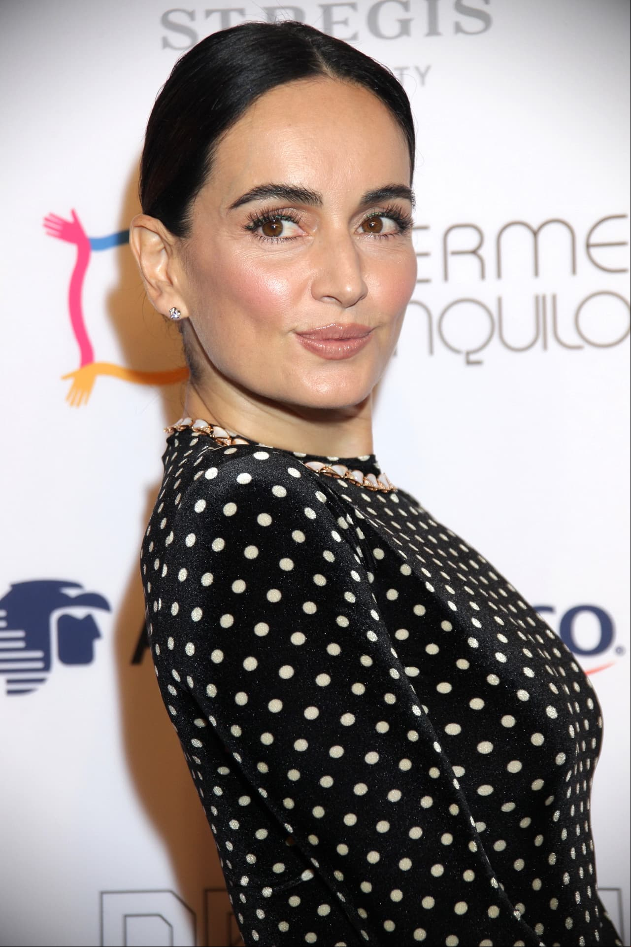 La veracruzana, Ana de la Reguera, es otra de las latinas que ponen en alto el nombre de México al compartir créditos con famosos como Bruce Willis, Tracy Morgan y Daniel Craig, por mencionar algunos.