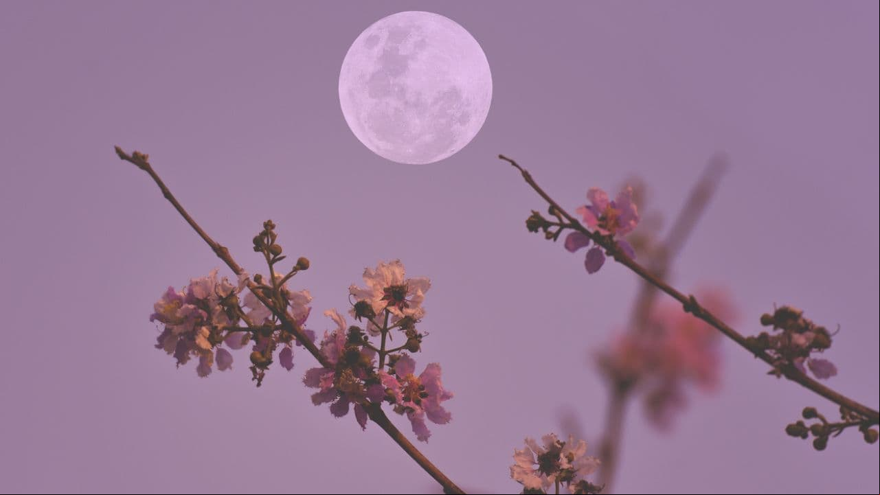 Luna llena en el cielo