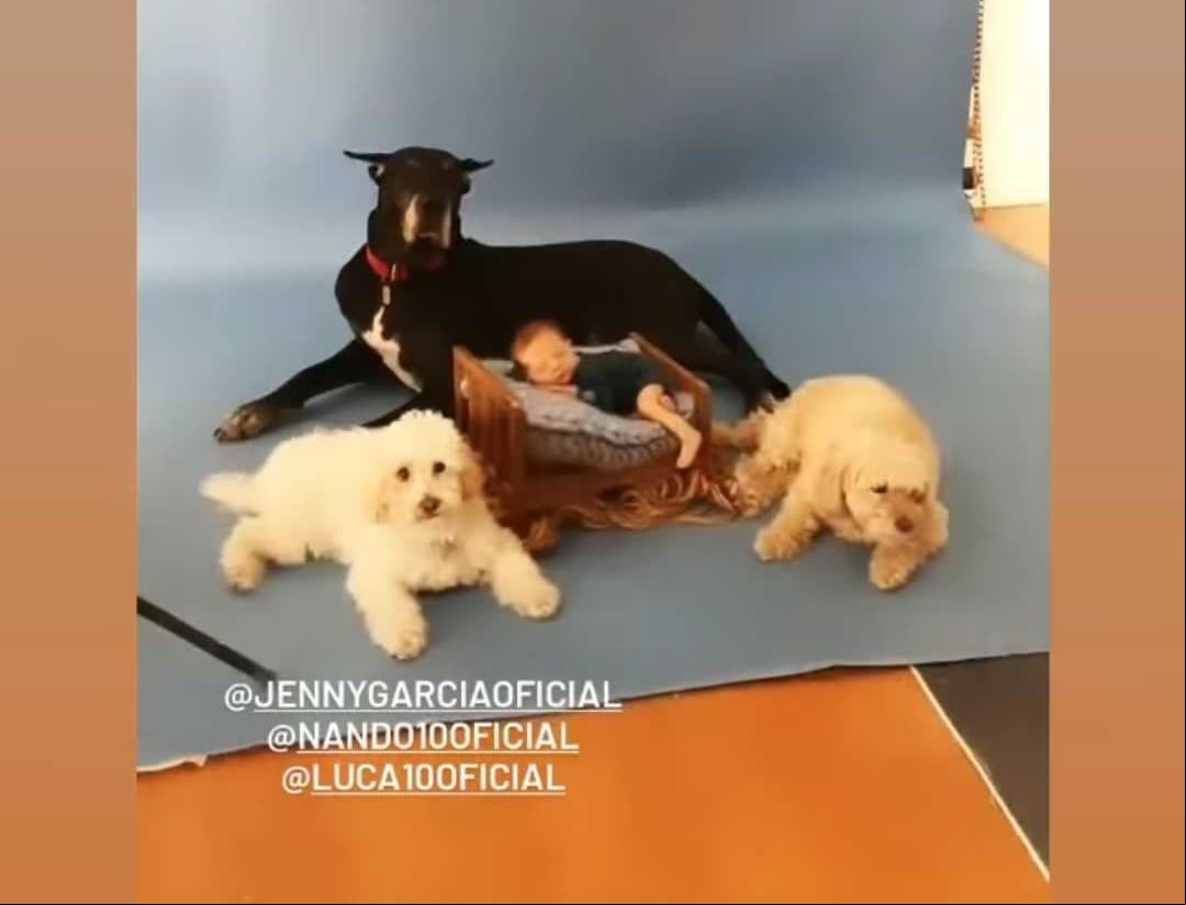 La coreógrafa también destacó, pero sobre todo quedó maravillada con la atención que sus mascotas le prestaron al bebé mientras le tomaban fotografías y es que no dejaron de cuidarlo en todo momento.