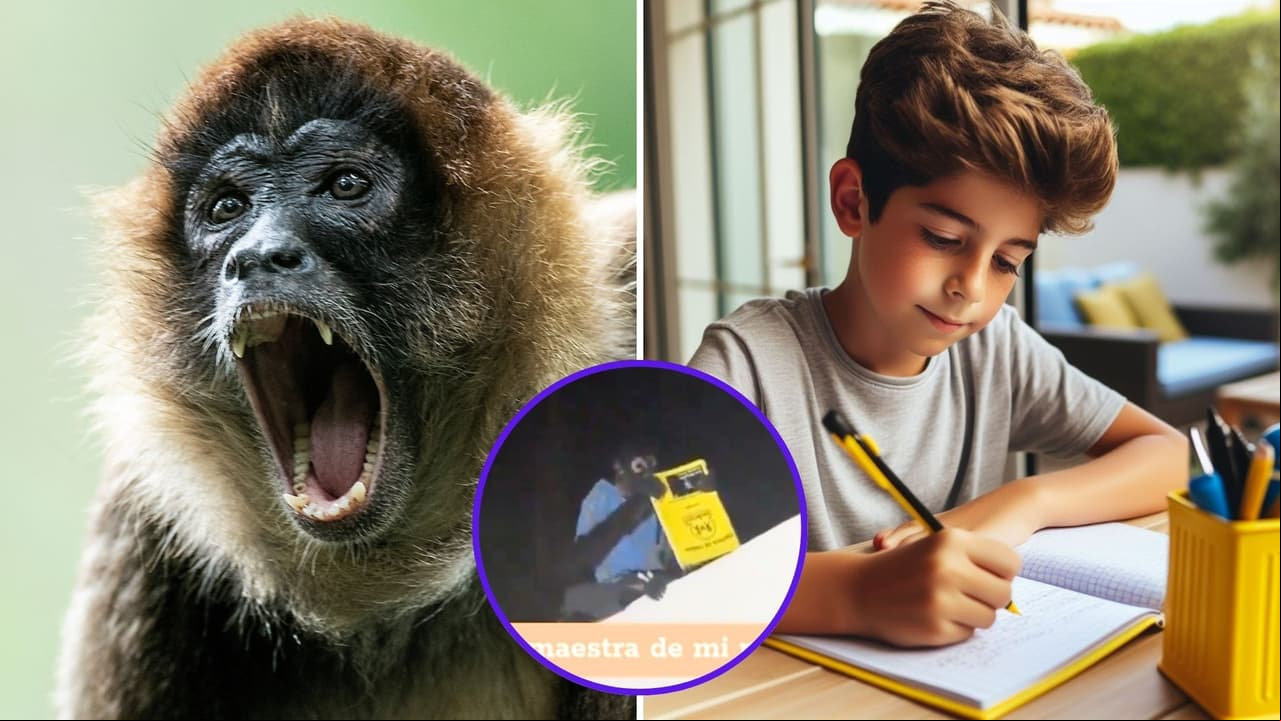 Mono le roba la tarea a un niño y mamá lo graba para mostrarlo a la maestra: "Por si no le cree"