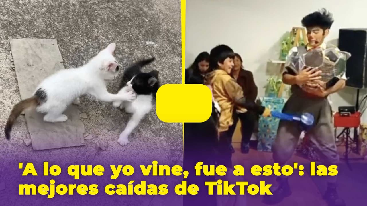 'A lo que yo vine, fue a esto': las mejores caídas de TikTok y el origen del viral audio
