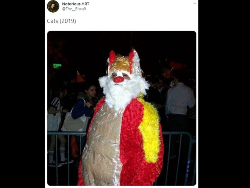 Su pelaje, bigotes y orejas provocaron una ola de memes en redes sociales.