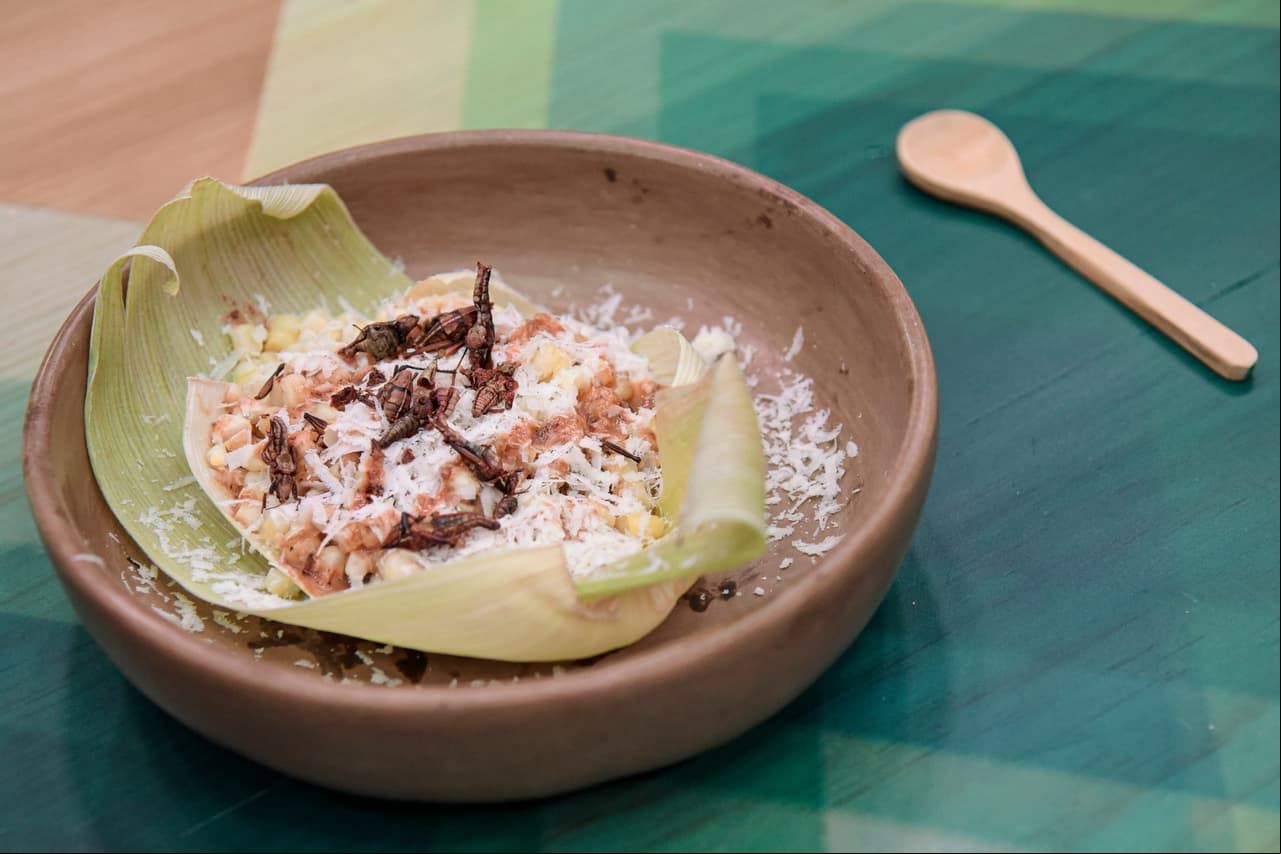 Cada familia innovó la preparación de los tradicionales esquites. La familia Vásquez por ejemplo, incorporó mezcal y chapulines a su mayonesa.