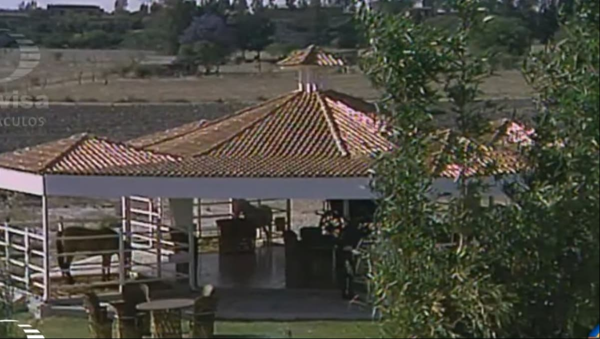 La Arena VFG, donde rindieron homenaje a Vicente Fernández, también ha sido escenario para grandes estrellas como Katy Perry, Ricky Martin y Shakira.
