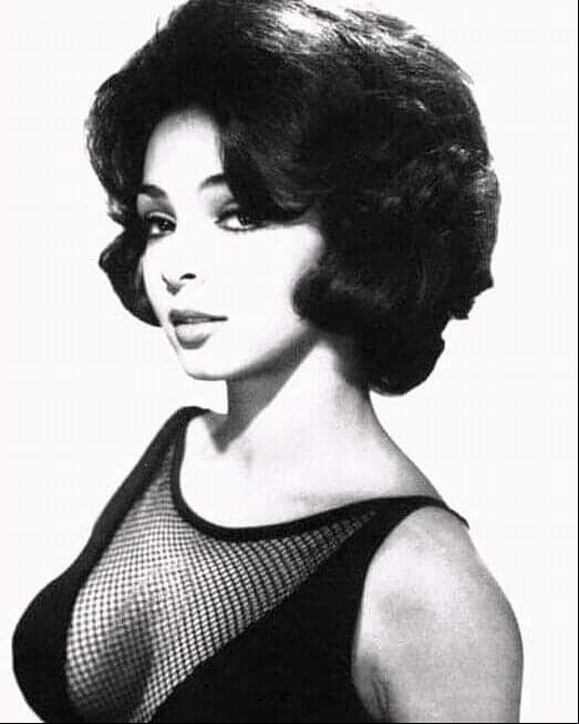“Fue mi etapa más difícil, fue cuando hice ‘Marcelo y María’ (1966), cuando me dieron mi primera Diosa de Plata, luego hice ‘Acapulco go-go’ (1967) en la que salía en bikini, entonces te vuelves el símbolo sexual del momento”, recordó.