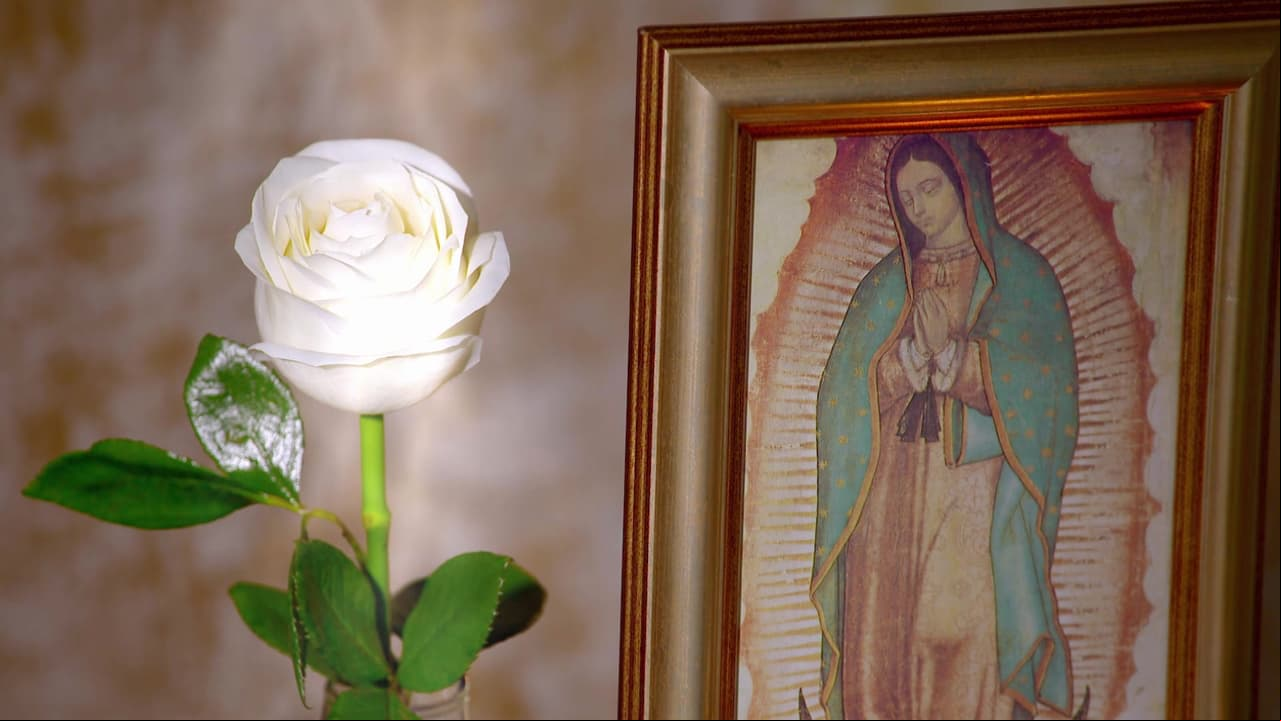¡La historia detrás de La Rosa de Guadalupe! Así empezó todo...