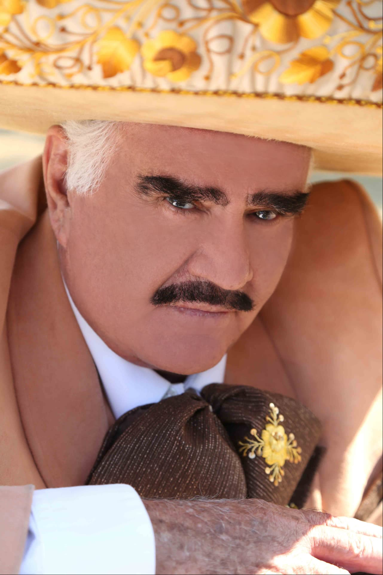 Vicente Fernández
