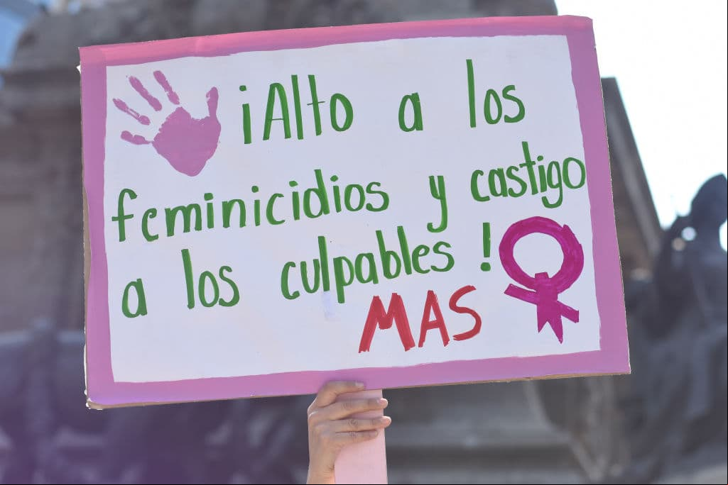 “El feminismo no se trata de hacer a las mujeres fuertes. Ellas ya lo son. Es sobre cambiar cómo el mundo percibe esa fuerza” - G.D. Anderson, activista estadounidense.