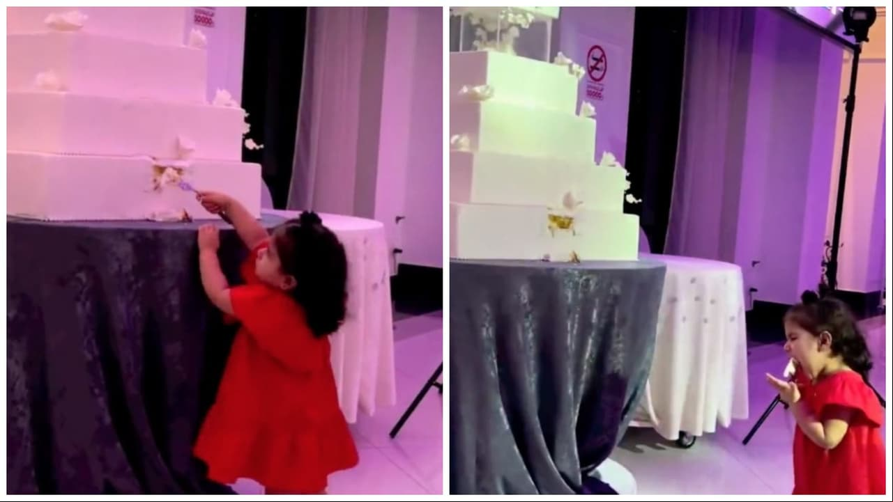 Niña arruina pastel de bodas para probarlo.
