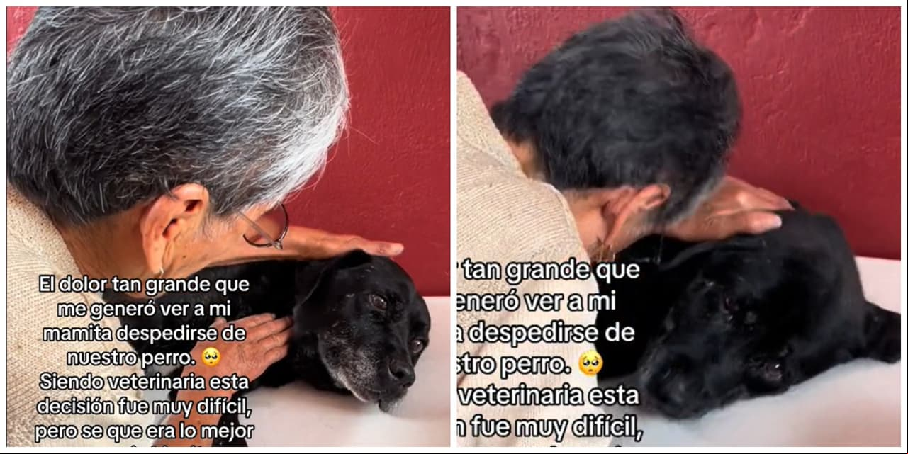 Abuelita dedica conmovedoras últimas palabras a su perrito antes de que muera