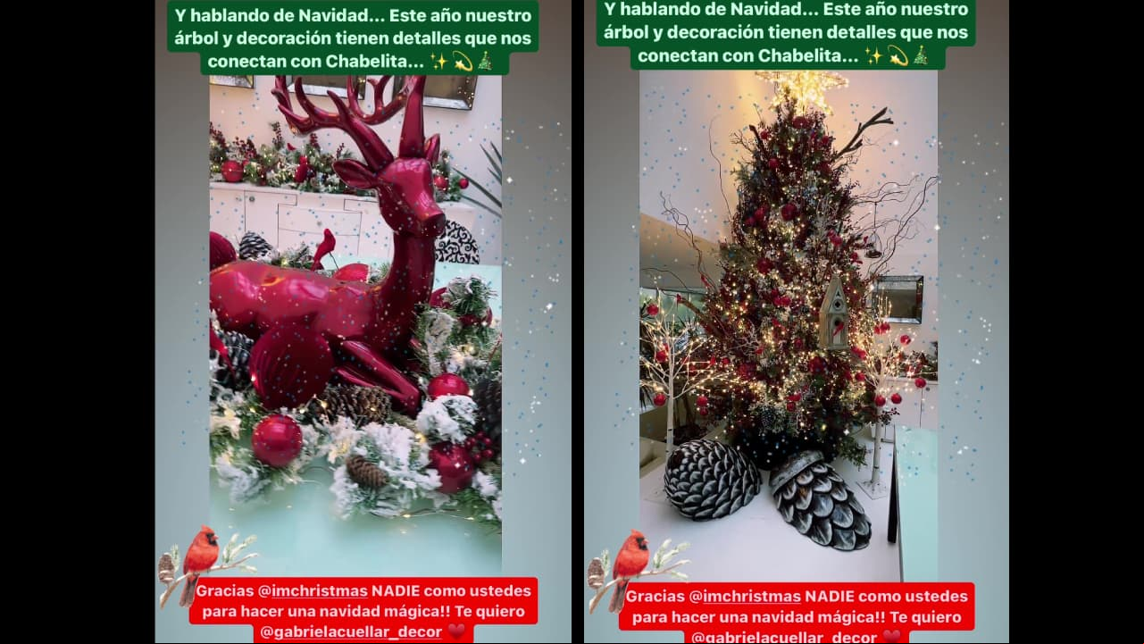 Andrea Legarreta muestra cómo decoró su árbol de Navidad
