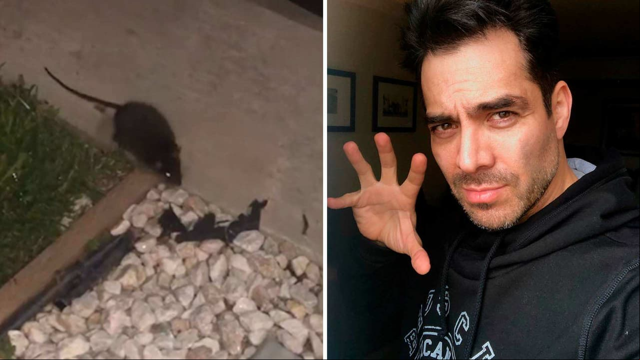 Omar Chaparro exhibe a la enorme rata que encontró afuera de su casa: “¡No te acerques a mí!”